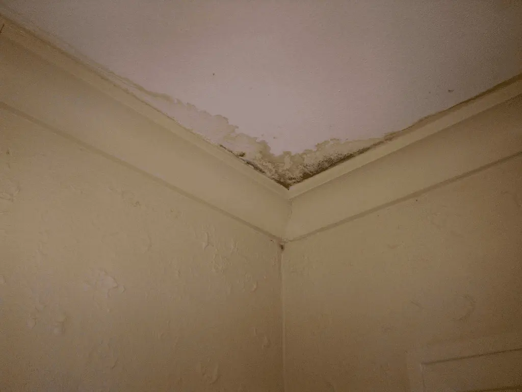 Ceiling with water damage